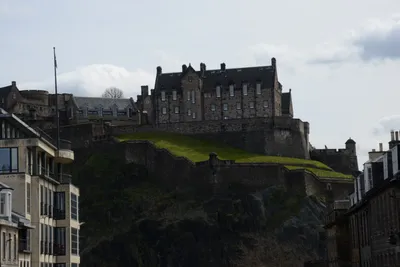 DSC_7389 (Large).JPG